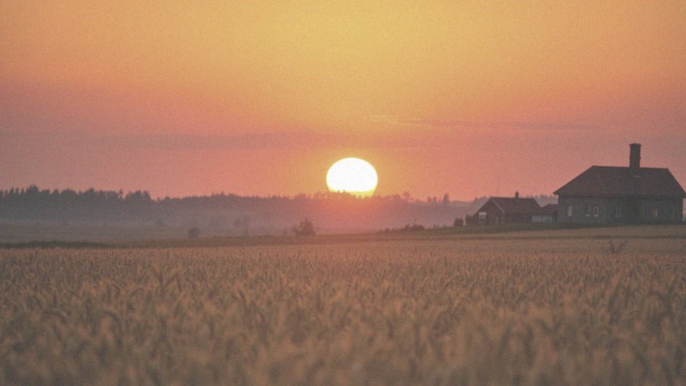 W jaki sposób Słońce różni się od innych gwiazd?