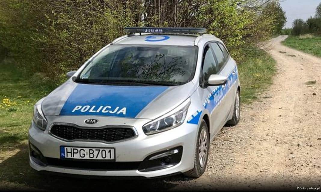 Apel Policji o ostrożność na drogach w Obliczu Migracji Zwierzyny