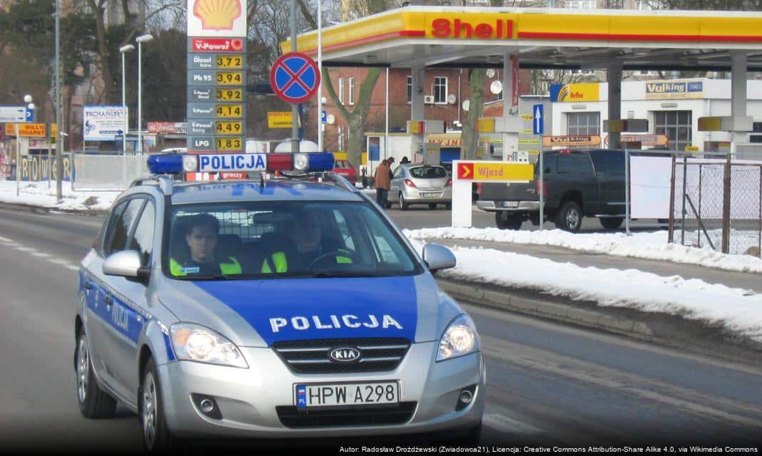 Bezpieczny kierowca ciężarówki – podsumowanie działań w regionie